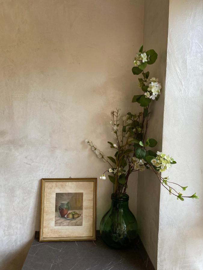 Casa Mar - B&B - テッラチーナ エクステリア 写真